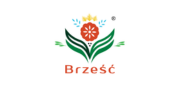 Brześć